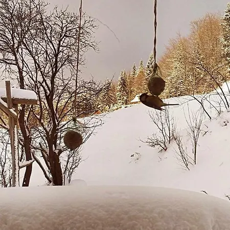 Homestay Wypoczynek U Agnieszki Ochotnica Gorna