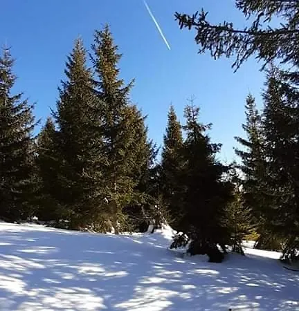 Homestay Wypoczynek U Agnieszki *
