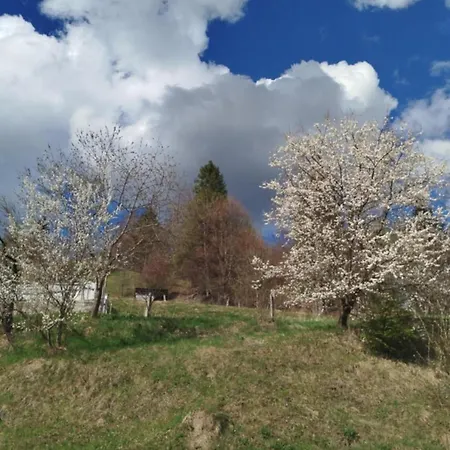 Wypoczynek U Agnieszki Homestay